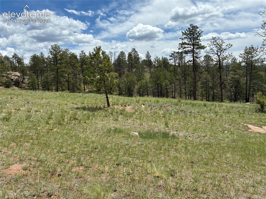 266 Chapparal Trail