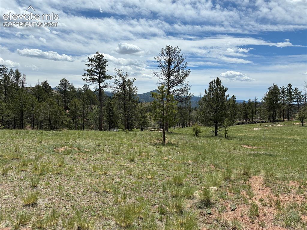 266 Chapparal Trail