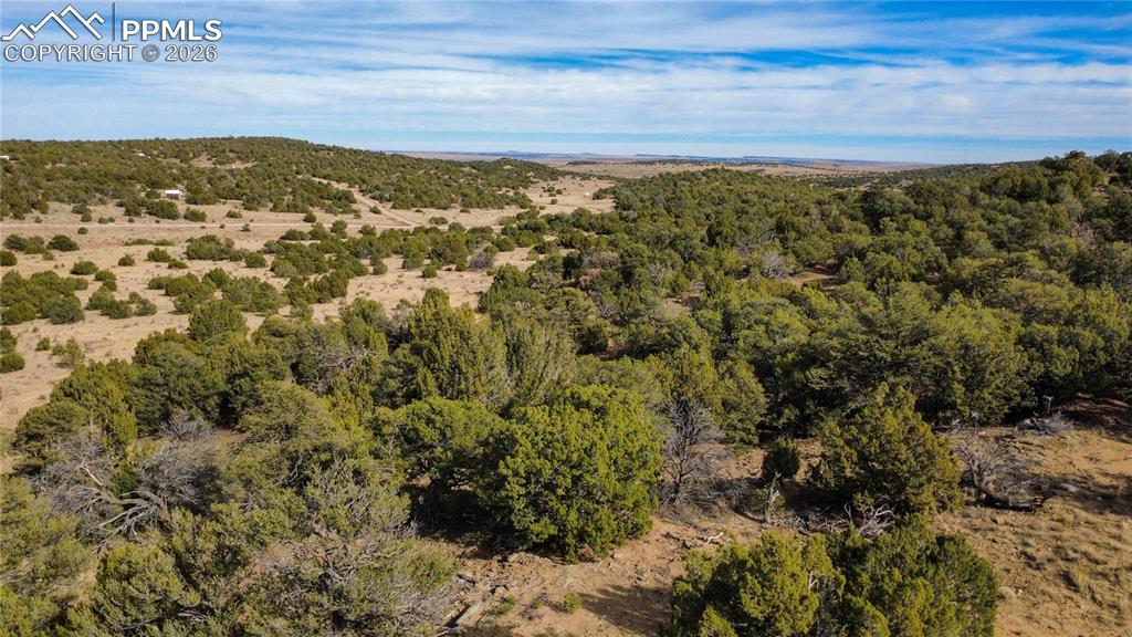 618 Pico del Questa