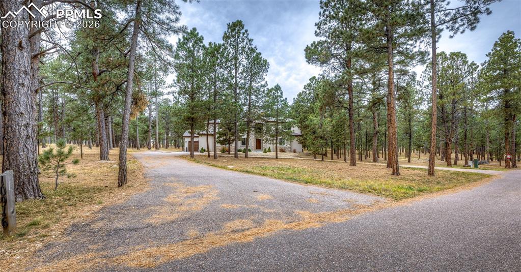 10916 Silver Mountain Point