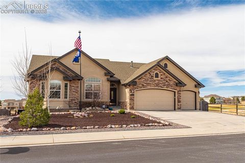 10862 Torreys Peak Way Peyton CO 80831