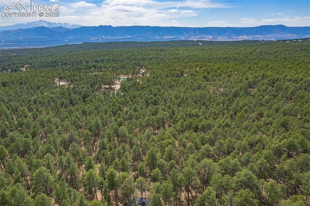 15950 Roller Coaster Road