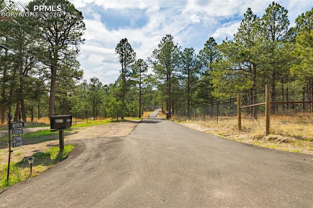 15950 Roller Coaster Road