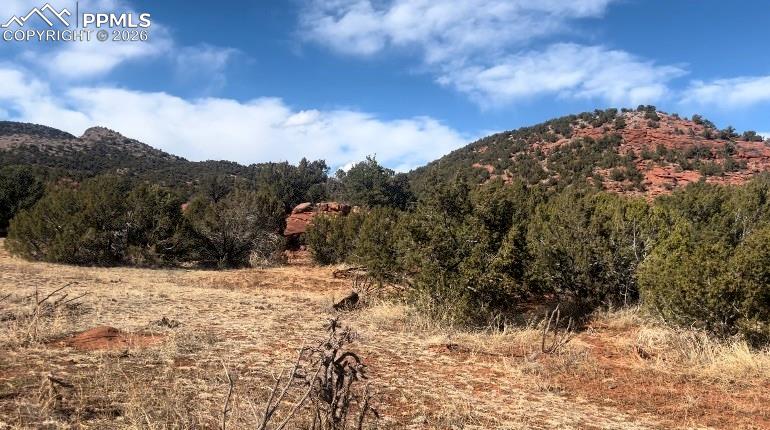 Lot 10 Rice Mountain Way