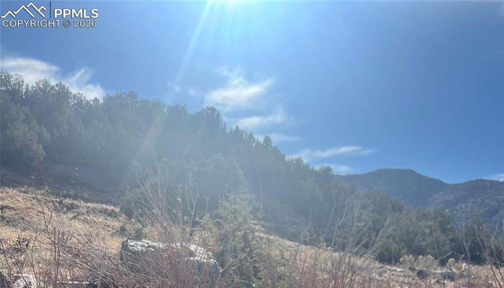 Lot 10 Rice Mountain Way