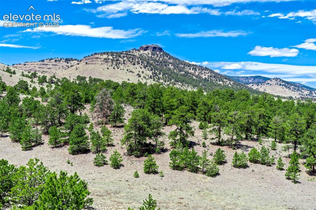 00 Roan Trail