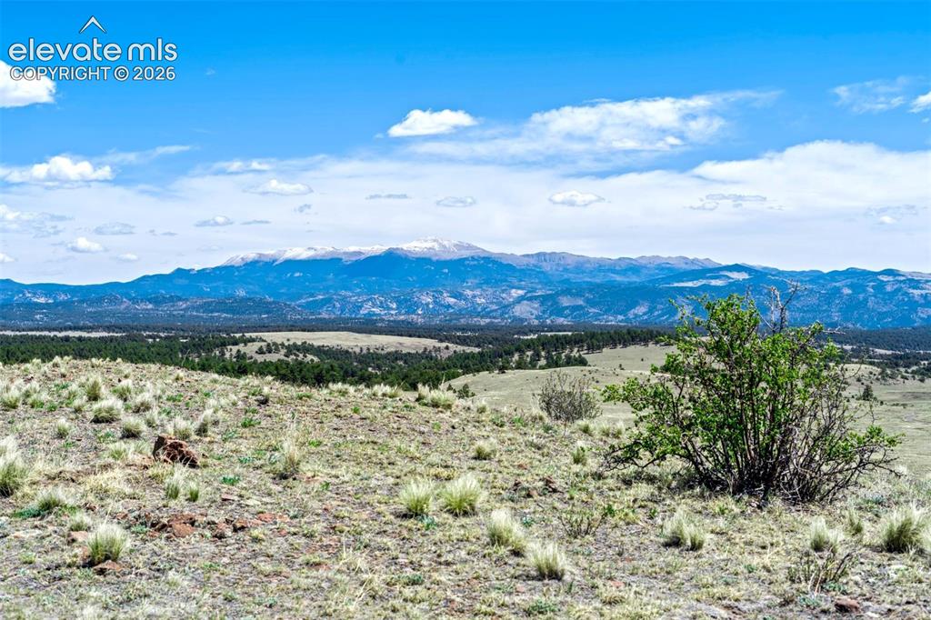 00 Roan Trail