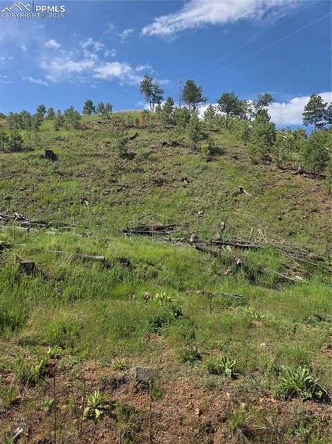 14874 Evergreen Place Woodland Park Co 80863