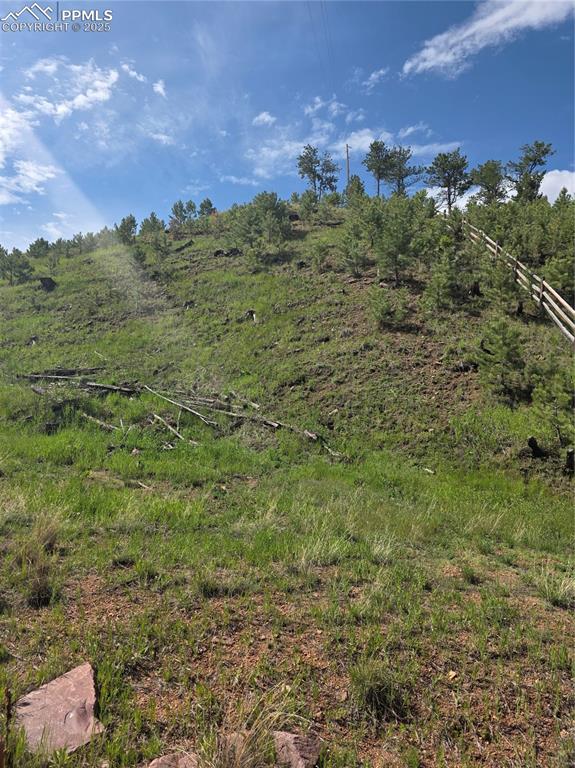 14874 Evergreen Place, Woodland Park, CO, 80863 14874 Evergreen Place