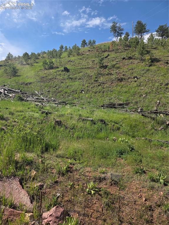 14874 Evergreen Place, Woodland Park, CO, 80863 14874 Evergreen Place