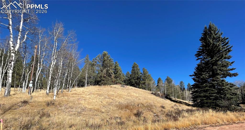3090 N Mountain Estates Road