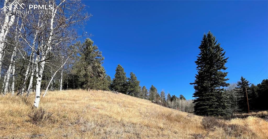 3090 N Mountain Estates Road