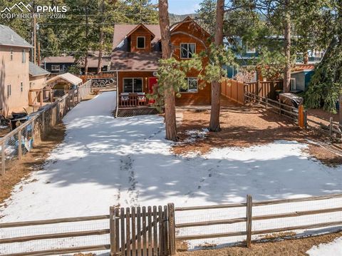 509 N Center Street Woodland Park CO 80863