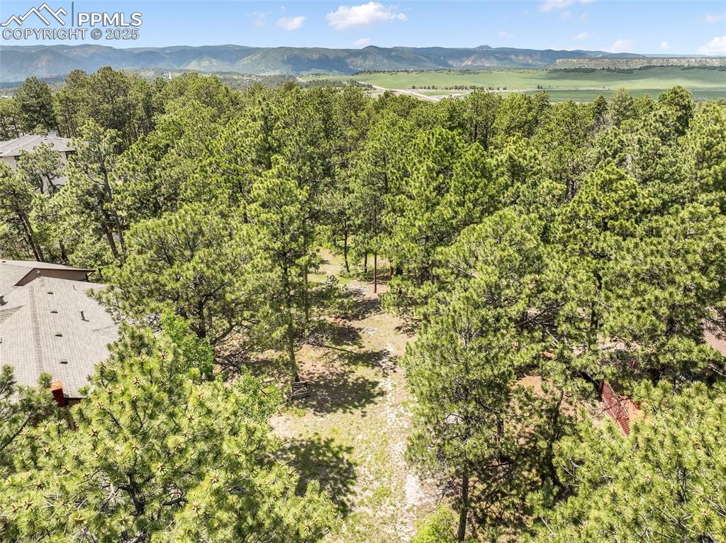 1180 Lone Scout Lookout