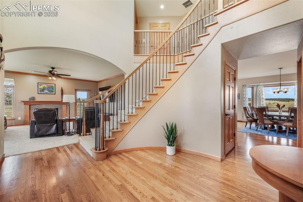 19748 Kershaw Court
