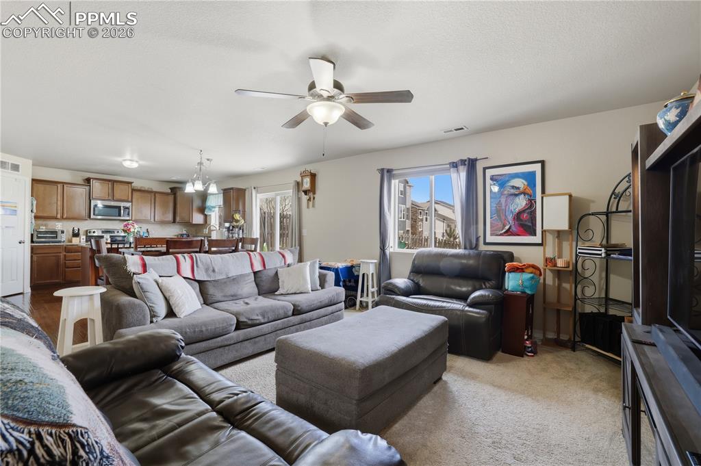 7738 Crestone Peak Trail