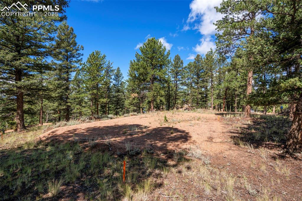 210 Donzi Trail