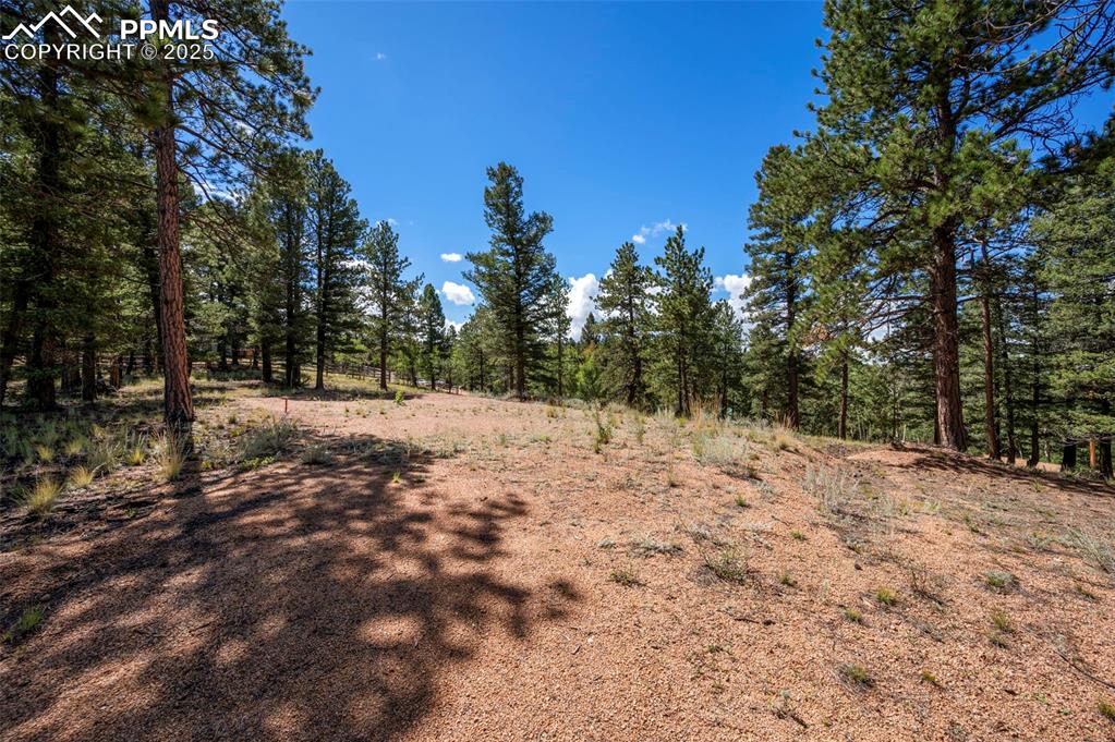 210 Donzi Trail