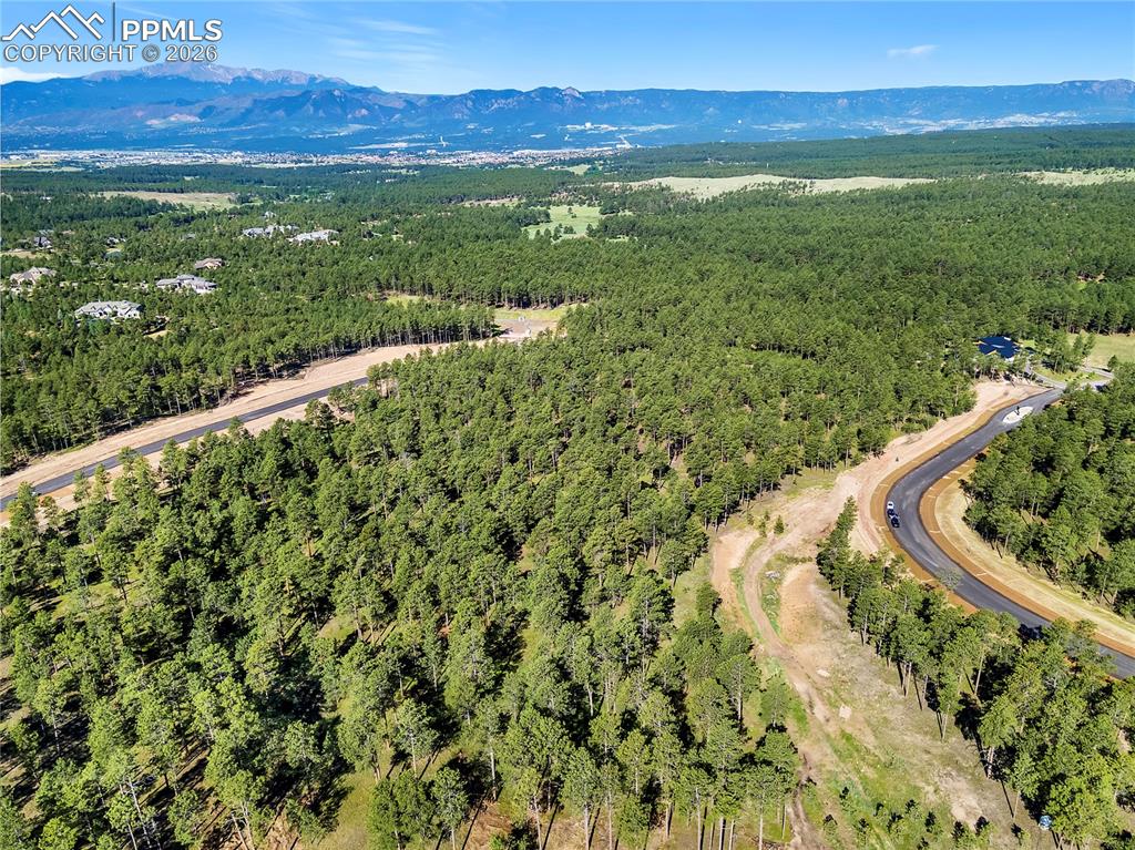 14832 Quartz Creek Road