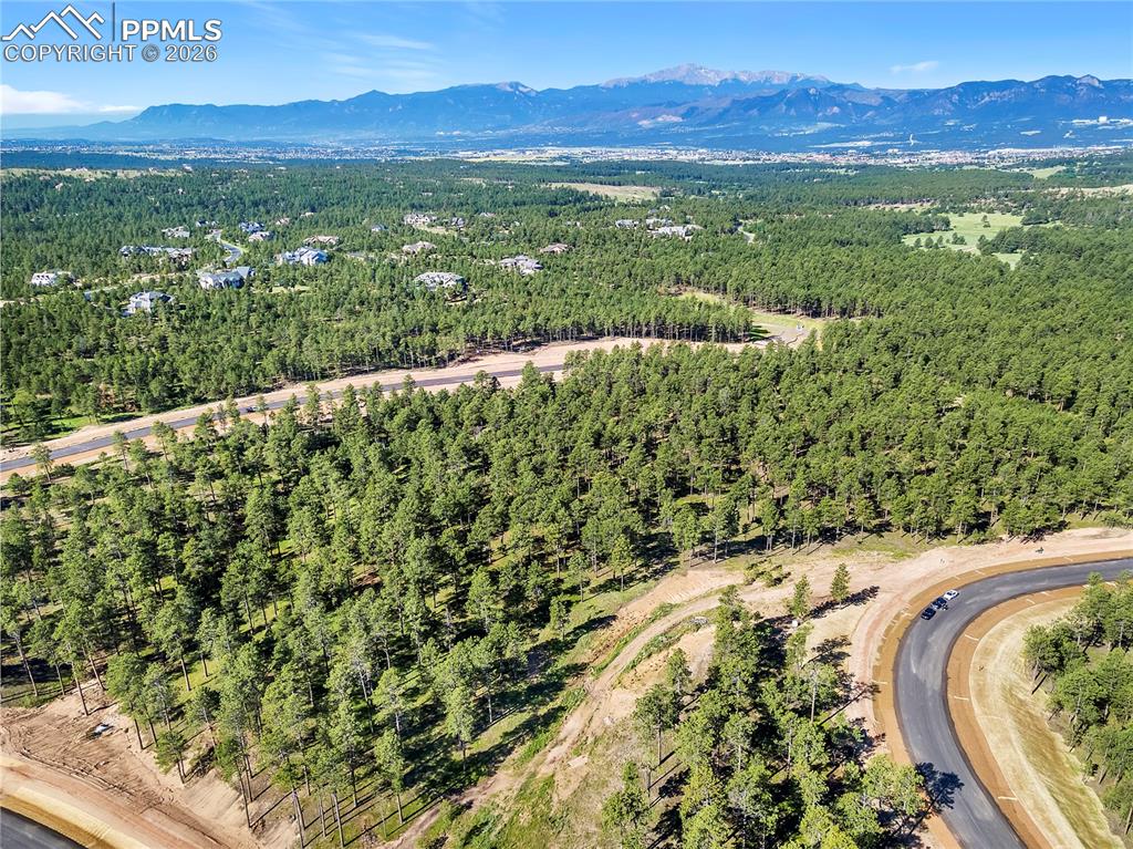 14832 Quartz Creek Road