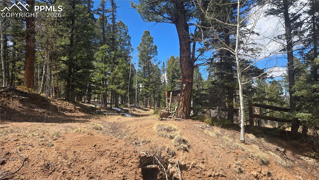 129 Mt Elbert Road