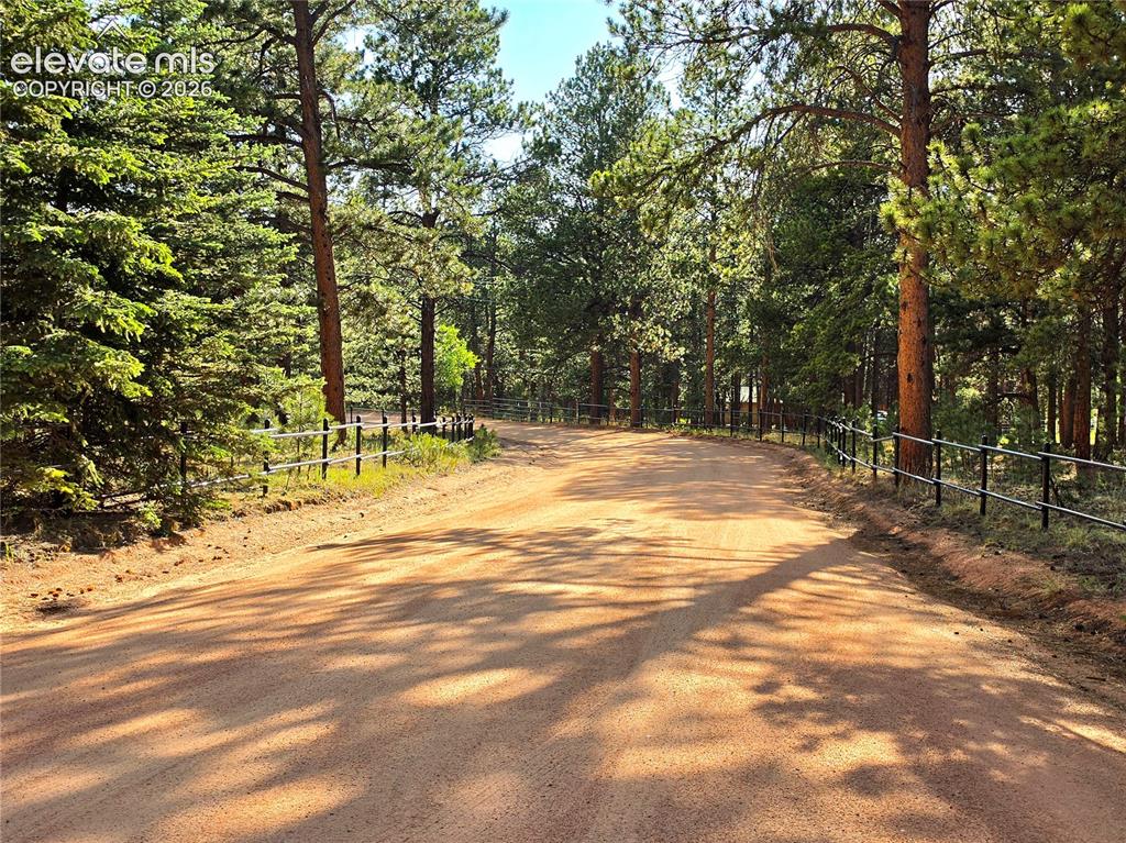 584 Sourdough Road