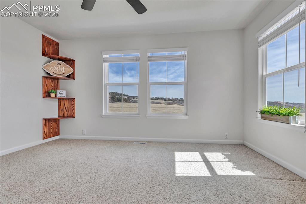 17099 Blue Mist Grove