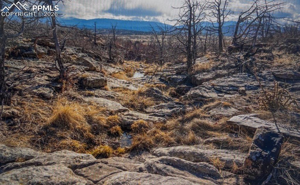 LOT 73 Cedar Grove Road