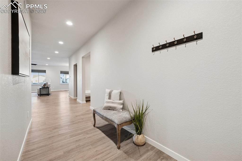 491 Blanket Flower Street