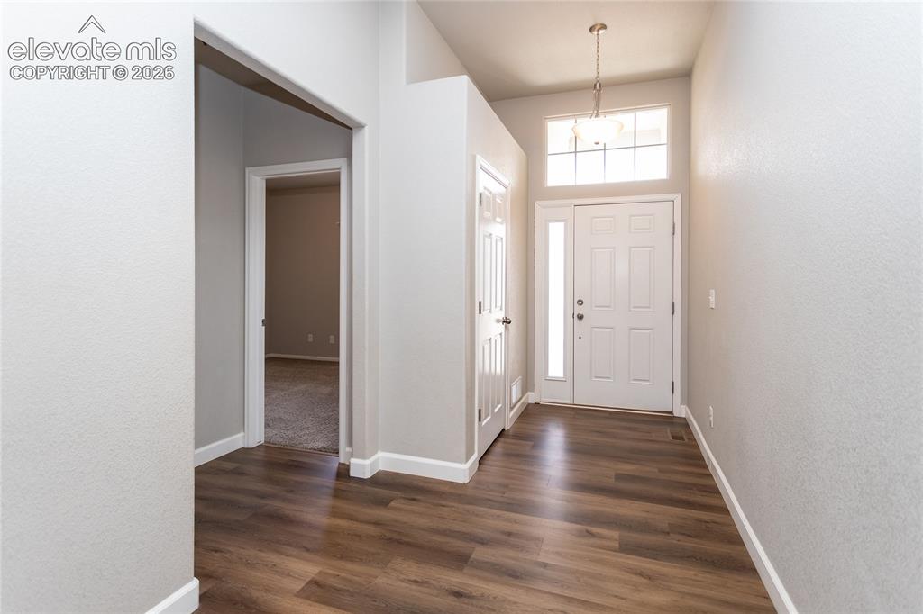 7489 Alpine Daisy Drive