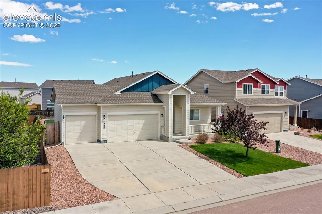 7489 Alpine Daisy Drive