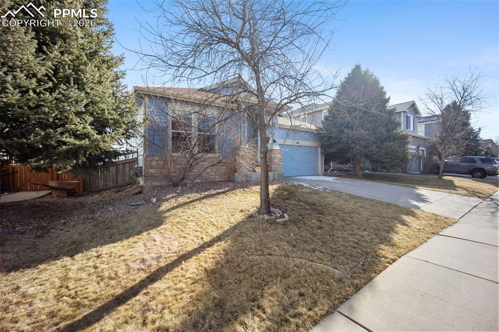 164 Apache Plume Street