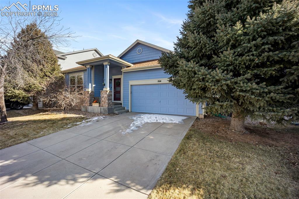 164 Apache Plume Street