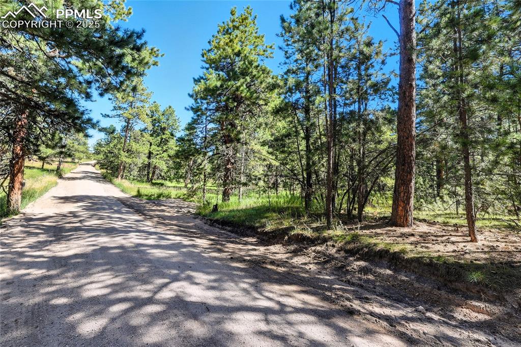 18390 Black Squirrel Road