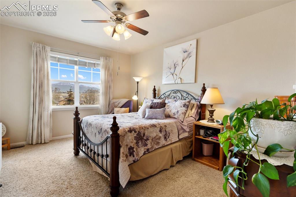 4338 Alder Springs View