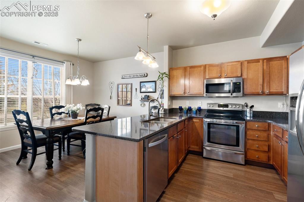 4338 Alder Springs View