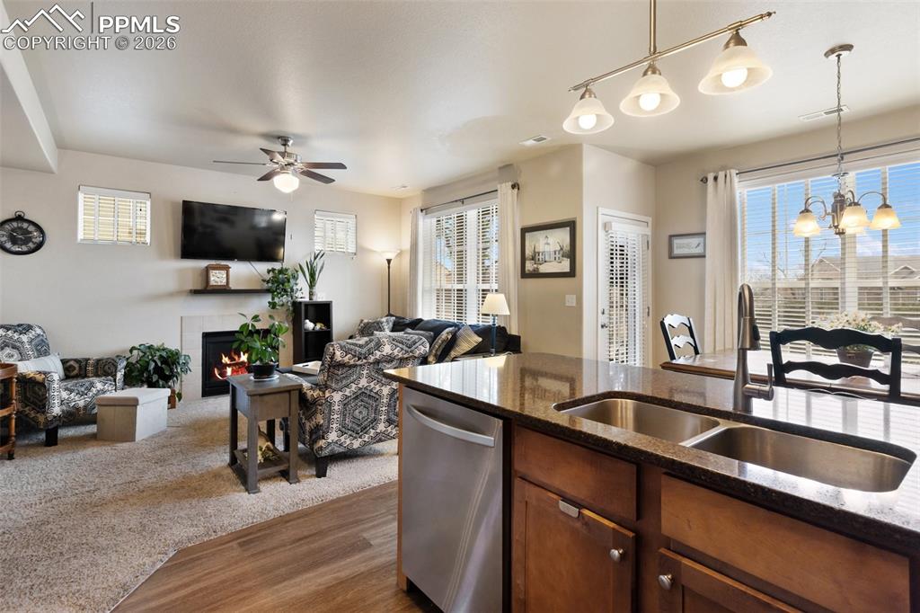 4338 Alder Springs View
