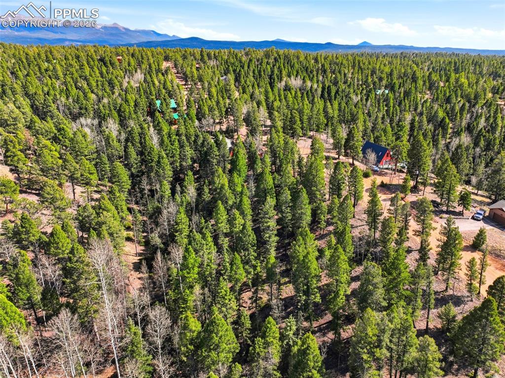 278 Cherry Lake Drive