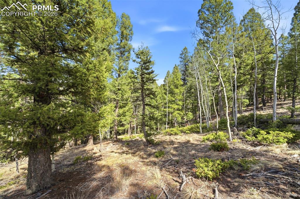 278 Cherry Lake Drive