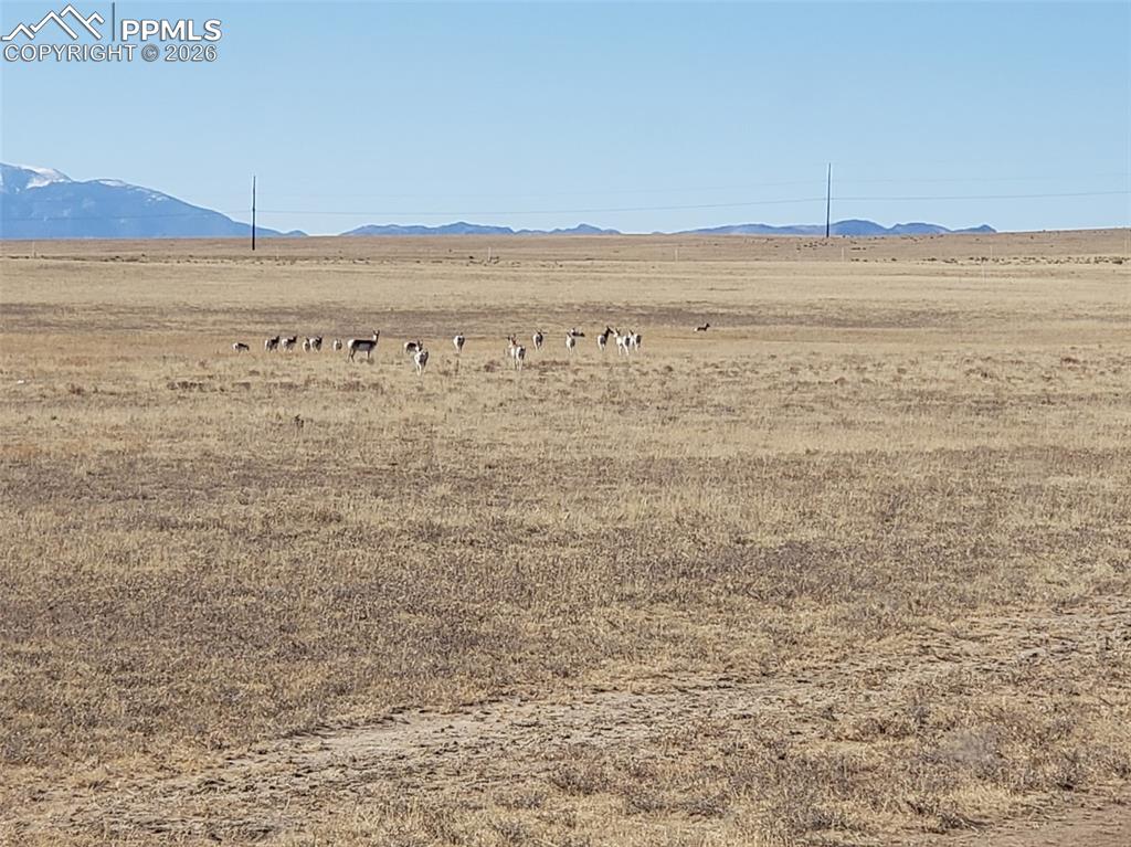 7510 Cowboy Ranch View