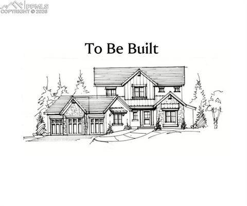 19942 Chisholm Trail Monument CO 80132