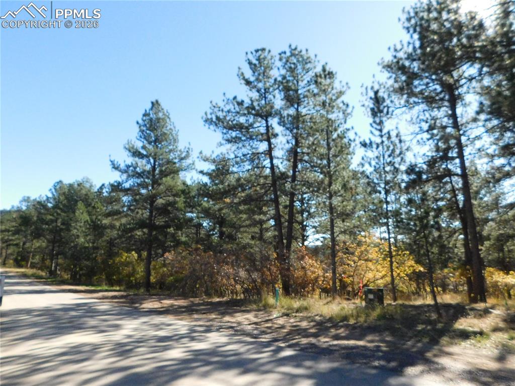 682 Copper Fox Place