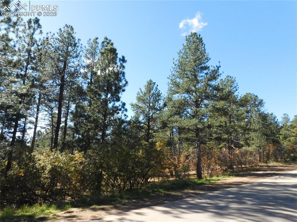 682 Copper Fox Place