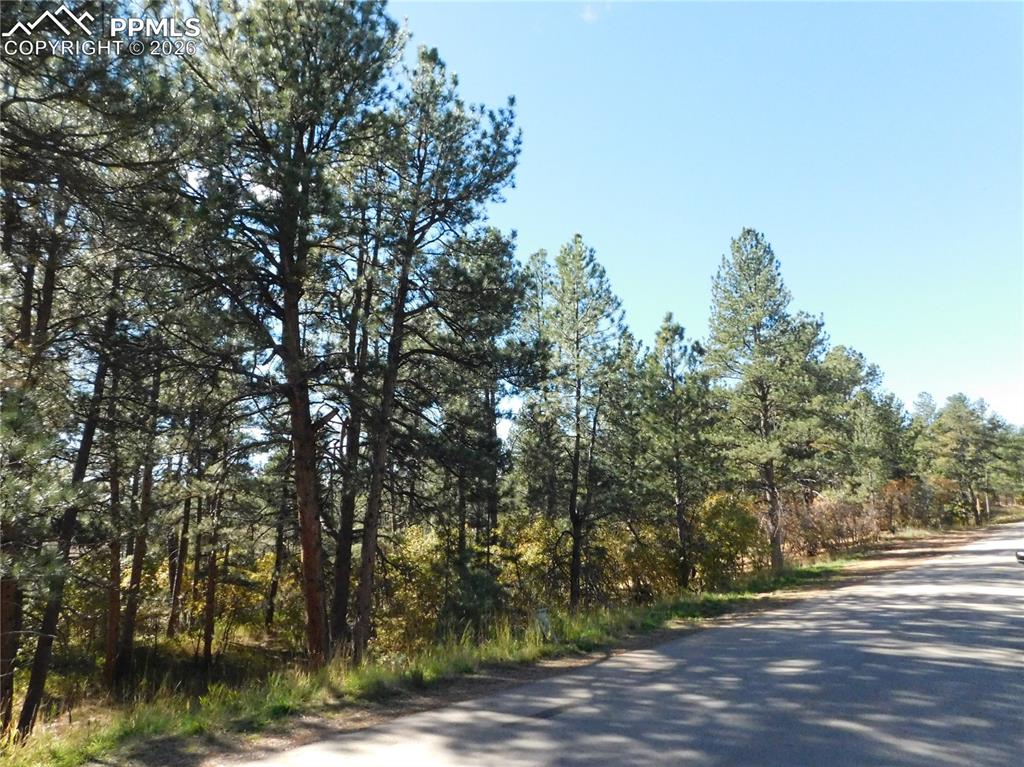 682 Copper Fox Place