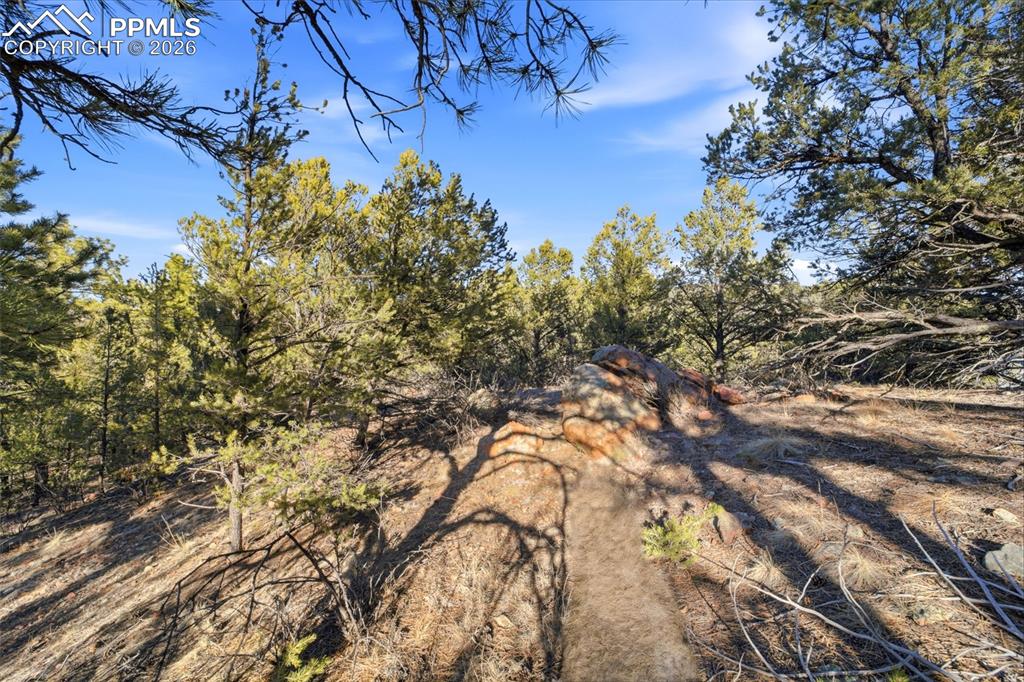94 Piute Drive