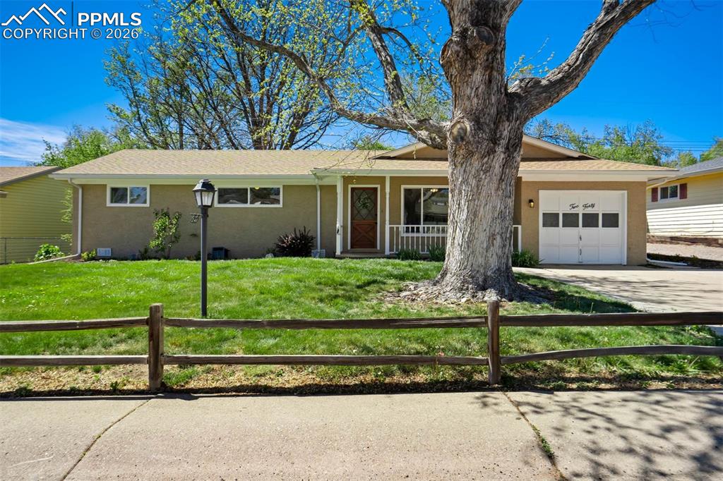 240 Davie Drive