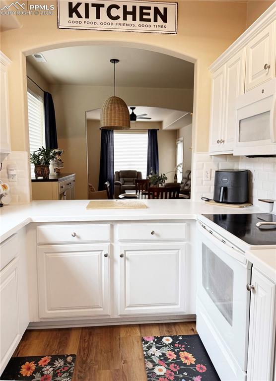 4223 Alder Springs View