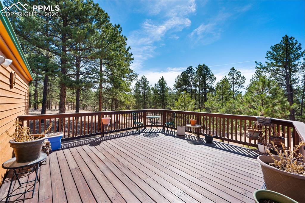1299 Pikes Peak Drive