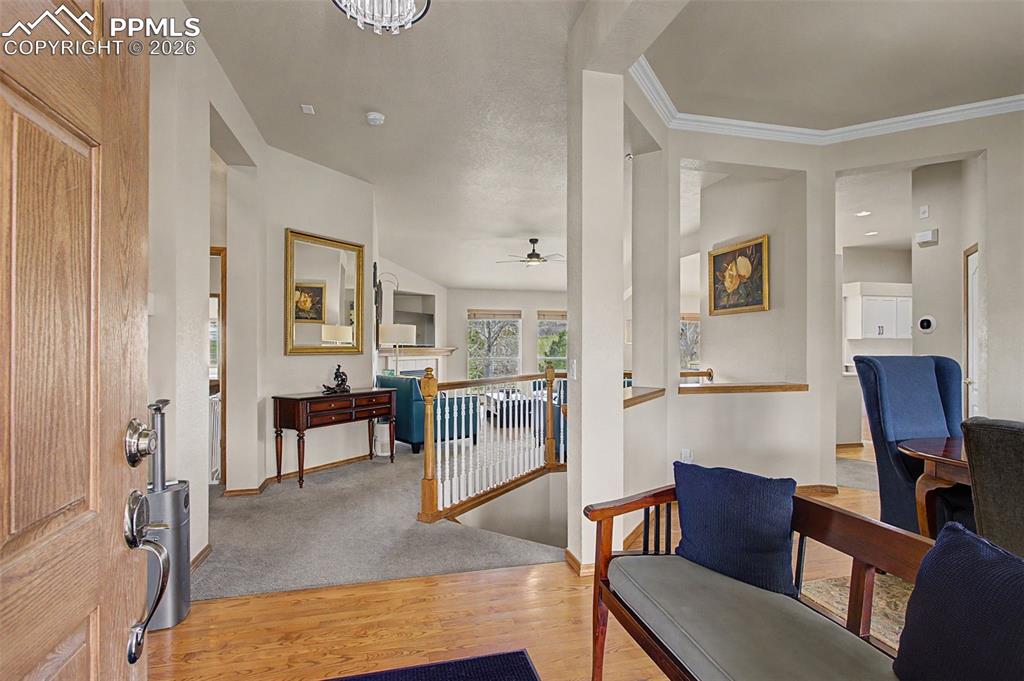 578 Larimer Creek Drive