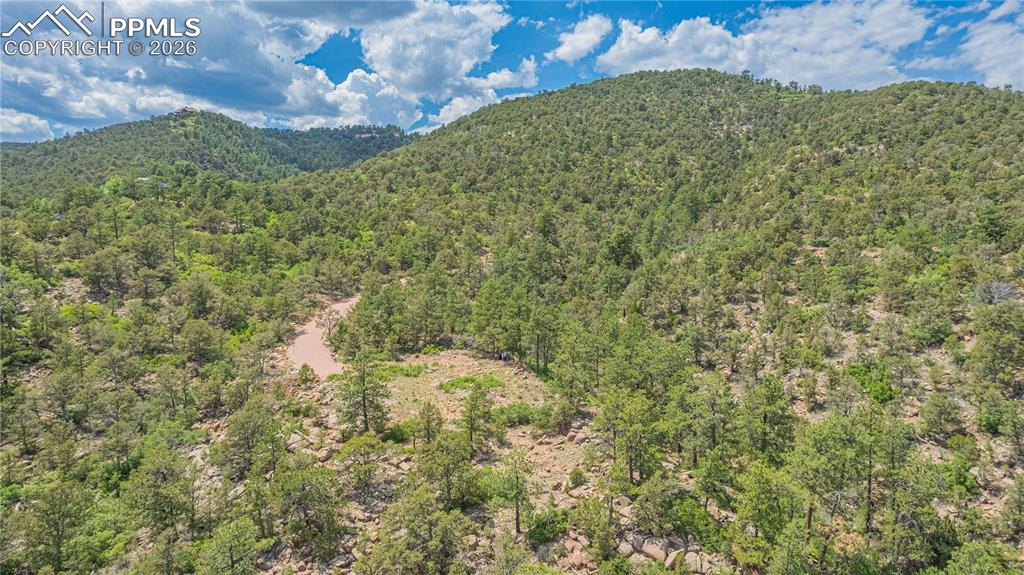 15505 S Cuerno Verde View